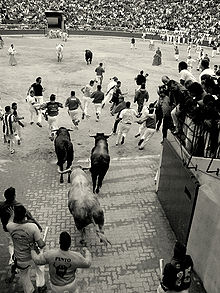 220px-Sanfermines_Vaquillas_Pamplona_03