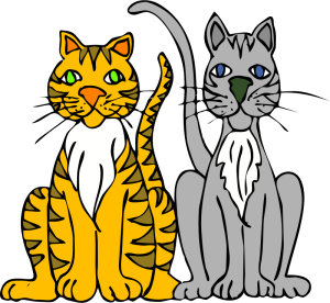 le-mie-tigri-preferite-a-01