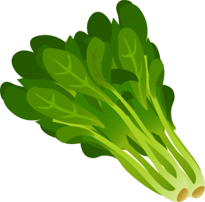 food-spinach-800px